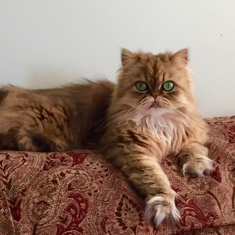 Dietassociated heart disease